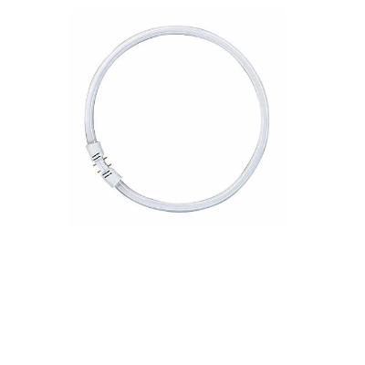 2GX13 Fluorescenčne sijalke