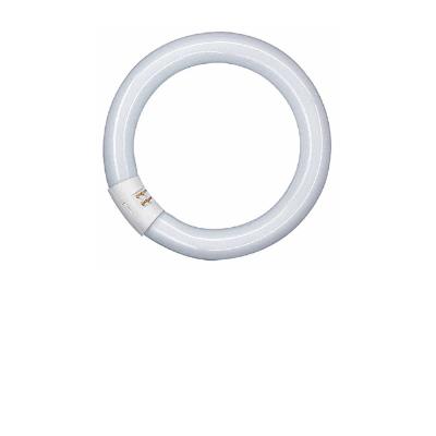 G10Q Fluorescenčne sijalke