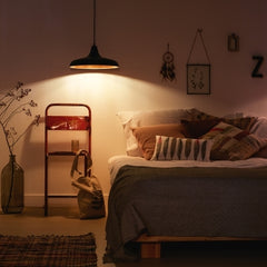 Philips 36032/30/E7 DURHAM viseča svetilka črna