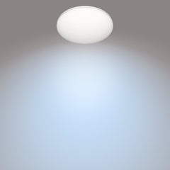 Stropna svetilka CL251 ZARPY 10W 4000K RD IP44 bela