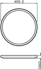 Stropna svetilka CL550 CLEAR SSW 15W 4000K RD IP44 bela