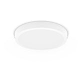 Stropna svetilka Philips DL252 MAGNEOS 20W 2700K RD bela