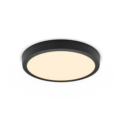 Stropna svetilka Philips DL252 MAGNEOS 20W 2700K RD črna