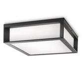 Svetilka Philips Skies 17184/93/16