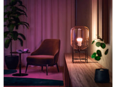 Hue White and Color Ambiance sijalka 2x6,5W-60W E27