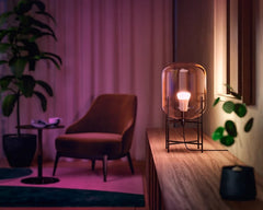 Hue White and Color Ambiance sijalka 3x6,5W-60W E27