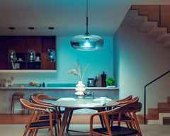 Hue White and Color Ambiance sijalka A67 13,5W-100W E27
