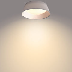 Stropna svetilka Philips CL258 DAWN 14W 3000K RD siva